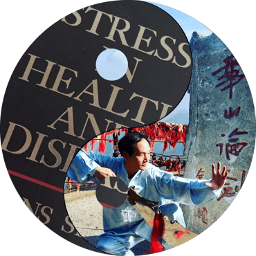 The Energy Fit Response to Stress